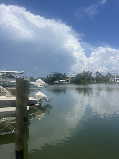 Photo from customer review